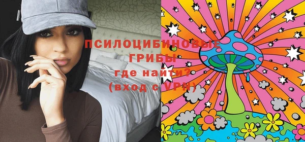 крисы Армянск