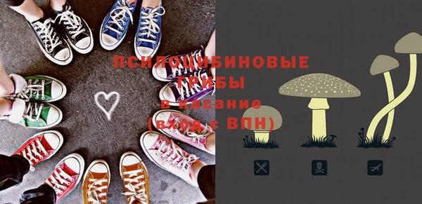 крисы Армянск