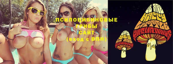 spice Аркадак