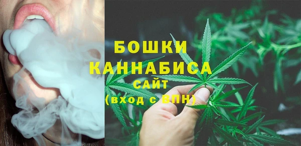spice Аркадак